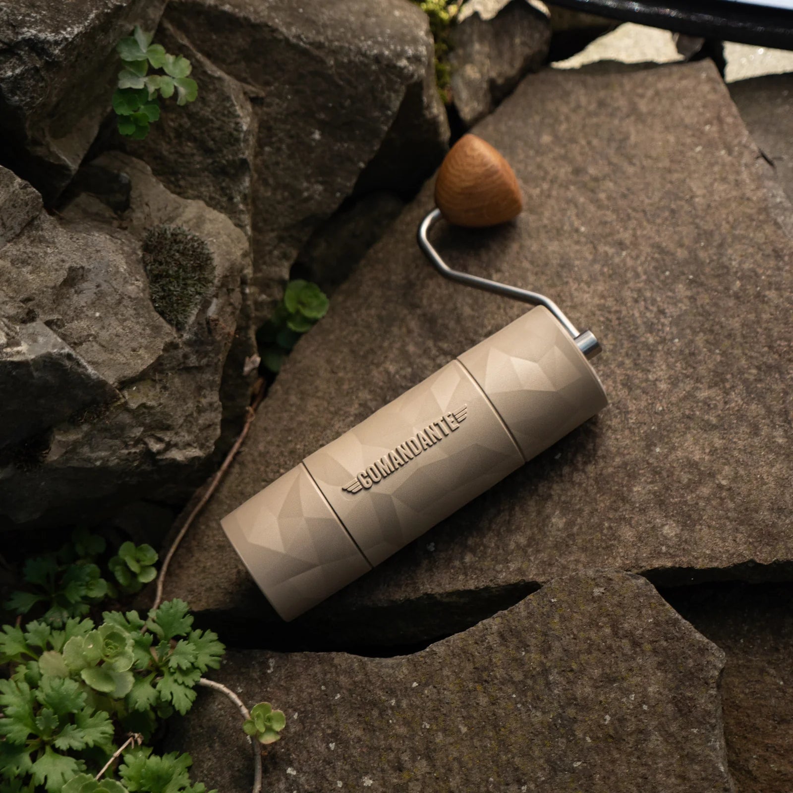 X25 TRAILMASTER - Dune